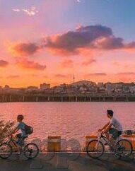 大象传媒短视频下载-探索大象传媒短视频下载，内容、影响与边界