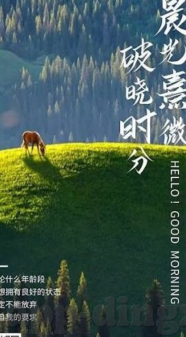 麻豆传媒短视频-麻豆传媒短视频，网罗生活瞬间的多元创意平台